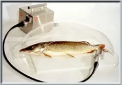Колпак для рыбочистки KT-S – купить в RuOborudovanie.ru с доставкой до двери Купить колпак для рыбочистки kt-s – цена от завода, доставка до двери | RuOborudovanie.ru